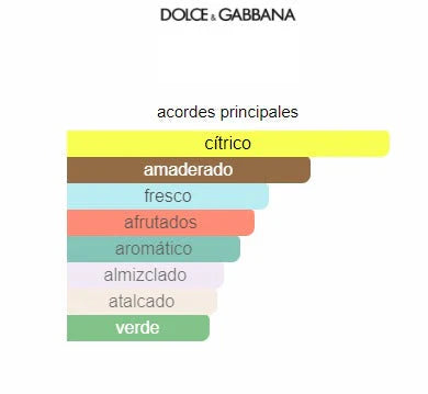 Dolce & Gabbana Light Blue